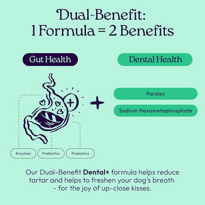 New! WellJoy Dog Treat Dental+ GutBoost | Helps Reduce Tartar | Freshens Breath | Dual-Benefit GutBoost Formulation | Vet Formulated | Made in USA | Made with Real Shredded Chicken | 24 Sticks