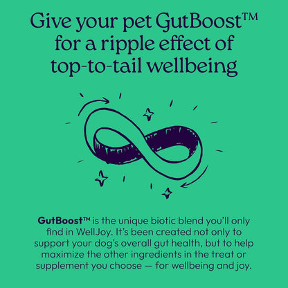 New! WellJoy Dog Treat Dental+ GutBoost | Helps Reduce Tartar | Freshens Breath | Dual-Benefit GutBoost Formulation | Vet Formulated | Made in USA | Made with Real Shredded Chicken | 24 Sticks