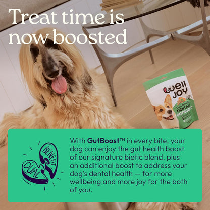 New! WellJoy Dog Treat Dental+ GutBoost | Helps Reduce Tartar | Freshens Breath | Dual-Benefit GutBoost Formulation | Vet Formulated | Made in USA | Made with Real Shredded Chicken | 24 Sticks